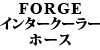 FORGE C^[N[[z[X