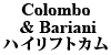 Colombo & Bariani  nCtgJ 106